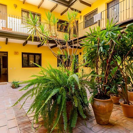 شقة Loft En El Corral Del Horno إشبيلية المظهر الخارجي الصورة